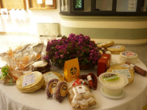 progetto mosaico orosei 11 05 2012 001