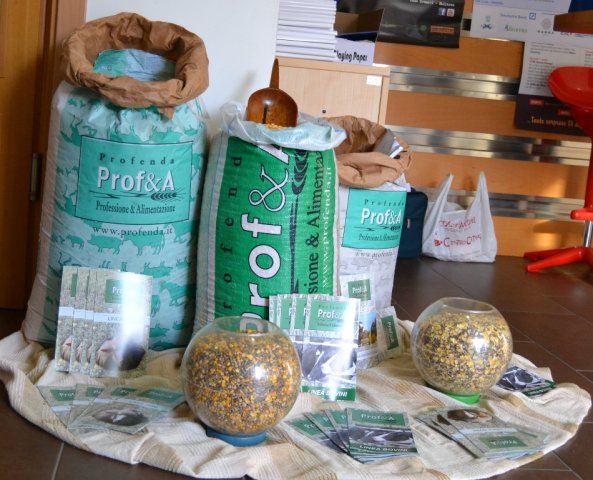 Mosaico Macomer 17 ottobre 2014